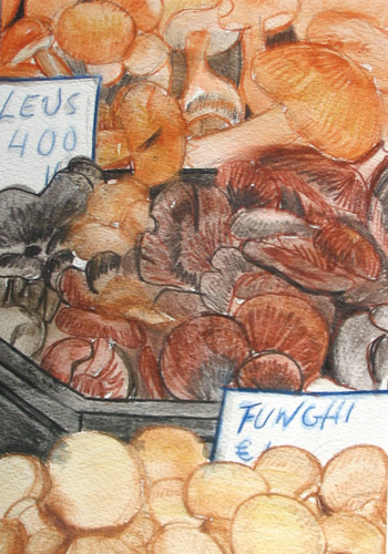 Funghi italian for mushrooms